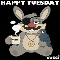 Tuesday Morning GIF