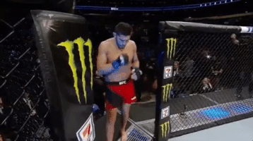 ufc 210 GIF