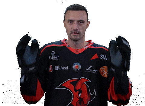 Happy Fight Sticker by Saale Bulls