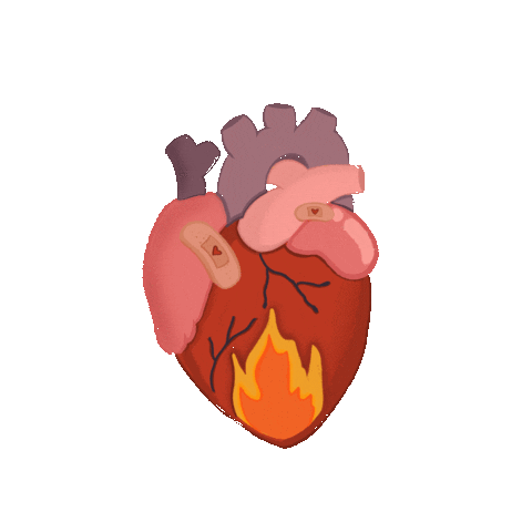 Human Heart Corazon Sticker