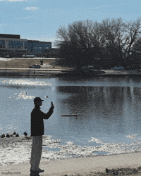 Johnny Araya GIF
