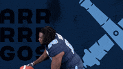 canadian football league GIF by Toronto Argonauts