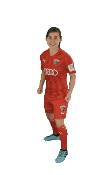 schanzerinnen frauenfussball zeller nichtohnemeinemädels schanzerinnen Sticker