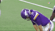Minnesota Vikings Football GIF by NFL