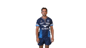 Top14 Teammhr Sticker by Montpellier Hérault Rugby