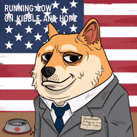Shiba Inu Usa GIF by Doge Pound