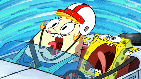 Nickelodeon GIF by SpongeBob SquarePants