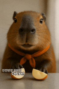 Apple Love GIF