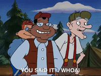 hey arnold nicksplat GIF