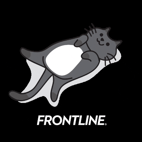 Frontline GIF by Boehringer Ingelheim