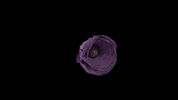 surprise love GIF by Stefanie Franciotti