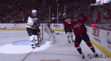 happy ice hockey GIF by NHL