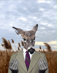 GIF by Ryan Seslow