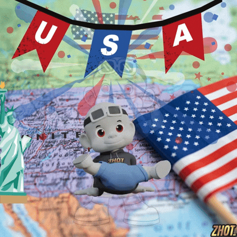 United States Usa GIF by Zhot
