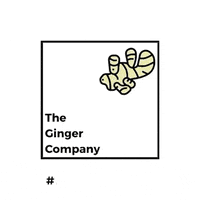 GIF by The Ginger Company
