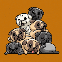Dog Lol GIF by Pugs