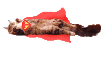 Tzigi cat flying superhero superman Sticker