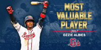 gwinnettbraves awards gbraves GIF