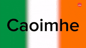 Luck Of The Irish Ireland GIF by BuzzFeed