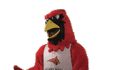 calverthallcollege sports disappointed cardinals hall Sticker