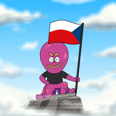 Flag Europe GIF by Octo Gaming