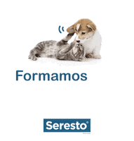 Cat Love Sticker by Seresto_ES