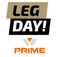 Prime Sticker by WellAcademia