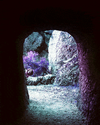 film analog GIF by Doctor Popular