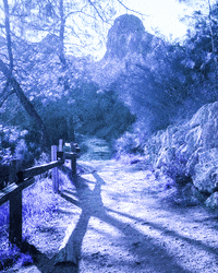 film analog GIF by Doctor Popular