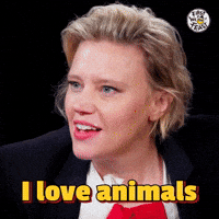 I Love Animals