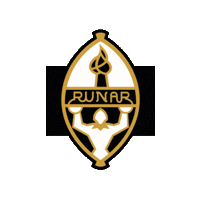 Rema1000Ligaen Runar Sticker by Norsk Topphåndball