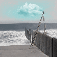GIF by boxangelica