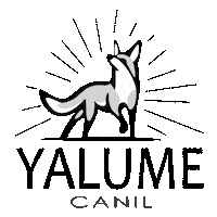 canilyalume cachorro border laika yak Sticker
