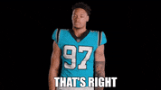 Point Up North Carolina GIF by Carolina Panthers