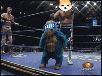 Crypto Bitcoin GIF by Dogelon Mars