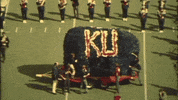 Jayhawks Rockchalk GIF by kualumni