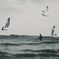 waves surf GIF by Evan Hilton