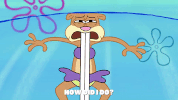 episode 1 GIF by SpongeBob SquarePants