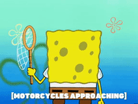 season 4 GIF by SpongeBob SquarePants