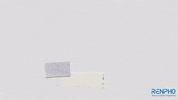 Fitness Health GIF by RENPHO