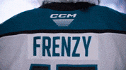 San Jose Win GIF by San Jose Barracuda