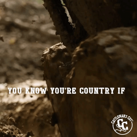 Country If: Mud