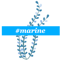 Sea Cream Sticker by Fresh Line