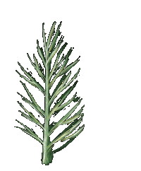 Beadsbeans Sticker
