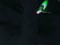 art colors GIF by MFD