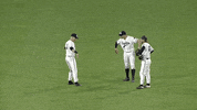 StPaulSaints celebration baseball jumping cheering GIF