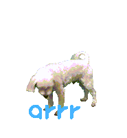 아르르 Sticker by arrr_official