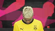 Posing Borussia Dortmund GIF by Bundesliga