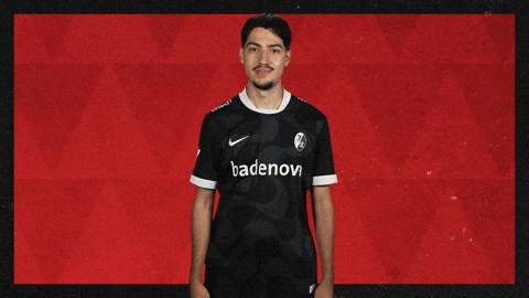 Sc Freiburg Hello GIF by Bundesliga