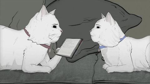 season 1 cats GIF by Animals